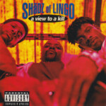 Shādz Of Lingo A View To A Kill album